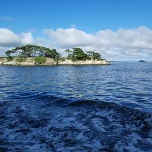 Meet your Posher, Meshach